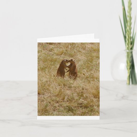 Card has cute foto of 2 prairie dogs 'chatting' kaart (Voorkant)