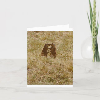 Card has cute foto of 2 prairie dogs 'chatting' kaart