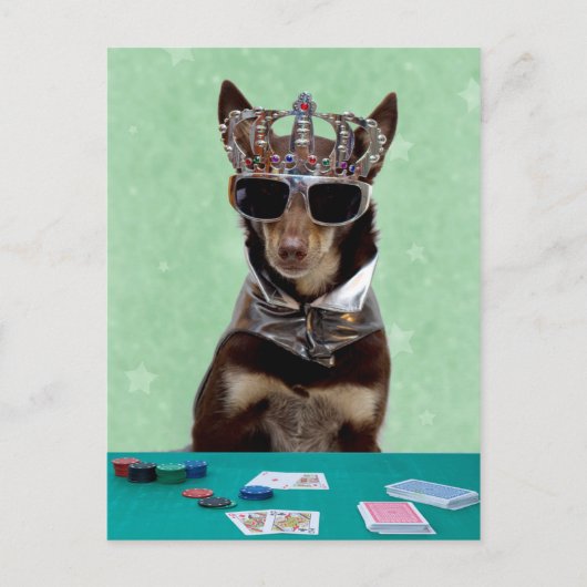 Card Shark King Briefkaart (Voorkant)