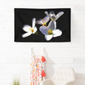 Cardamine Pratensis Bloemen benrcna Spandoek (Insitu)