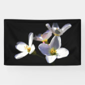 Cardamine Pratensis Bloemen benrcna Spandoek (Horizontaal)