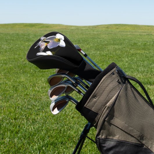 Cardamine Pratensis Bloemen dccnm Golfheadcover (Insitu)