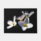 Cardamine Pratensis Bloemen dmcnm Deurmat (Voorkant)