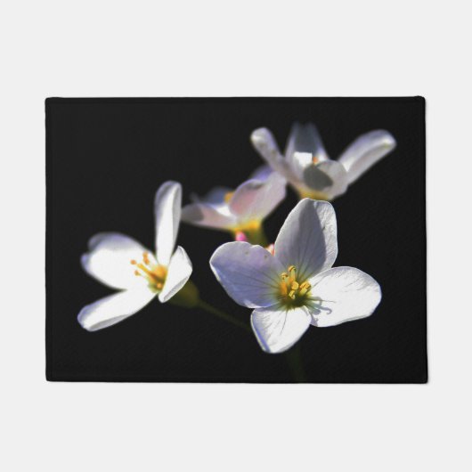 Cardamine Pratensis Bloemen dmcnm Deurmat (Voorkant)