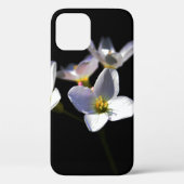 Cardamine Pratensis Bloemen iphcna Case-Mate iPhone Case (Achterkant)