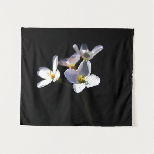 Cardamine Pratensis Bloemen Wat Wandkleed (Voorkant (horizontaal))