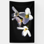 Cardamine Pratensis Flowers bnrcnm Spandoek (Verticaal)