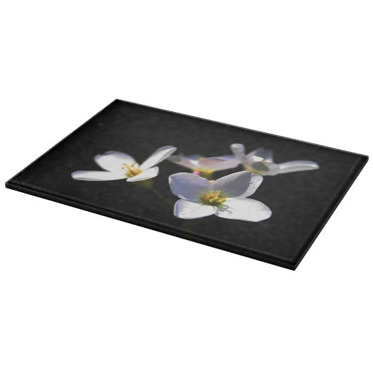 Cardamine Pratensis Flowers cbcnm Snijplank (Hoek)