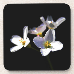 Cardamine Pratensis Flowers coastercana Bier Onderzetter