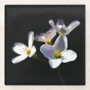 Cardamine Pratensis Flowers coastercnm Glazen Onderzetter