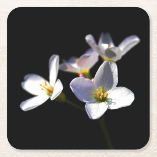Cardamine Pratensis Flowers coastercnm Kartonnen Onderzetters