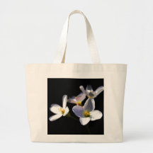 Cardamine Pratensis Flowers jtcnm