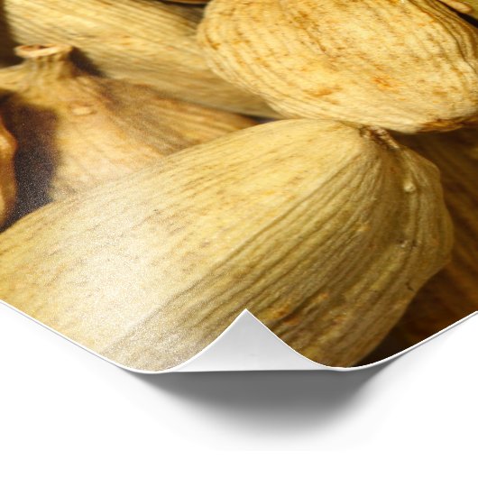 Cardamom-poden Foto Afdruk (Hoek)