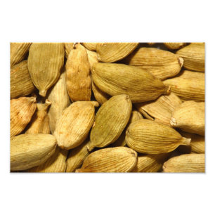 Cardamom-poden Foto Afdruk