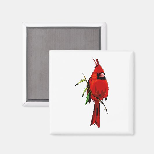 Cardankardinaal Magneet (Voorkant / Achterkant)