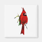 Cardankardinaal Magneet (Voorkant)