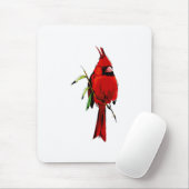 Cardankardinaal Muismat (Met muis)