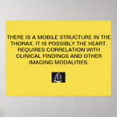 Cardiale Echo Report Poster (Voorkant)