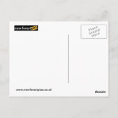 Cardiff Bay-briefkaart Briefkaart (Achterkant)