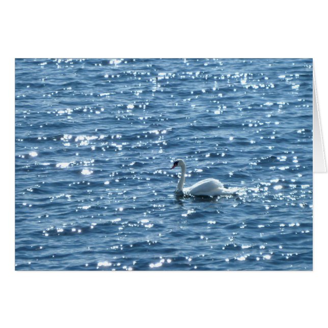 Cardiff Bay, Cardiff, Wales (Voorkant Horizontaal)