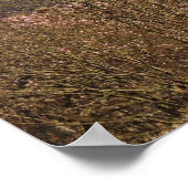 Cardiff Castle in the Early Spring Sunlight Poster (Hoek)