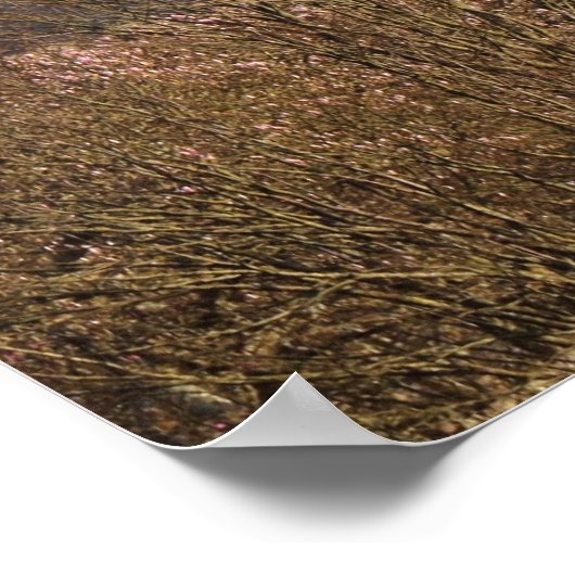 Cardiff Castle in the Early Spring Sunlight Poster (Hoek)