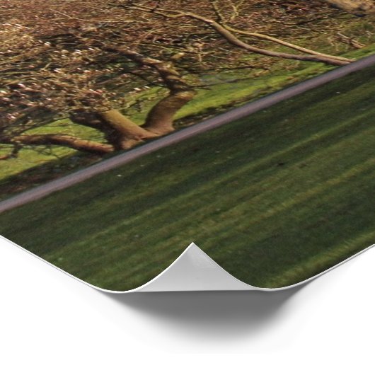 Cardiff Castle in the Early Spring Sunlight Poster (Hoek)