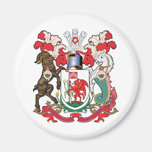 Cardiff-wapenschild Magneet
