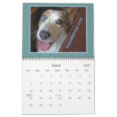 Cardigan Corgi 2015 Agenda Kalender (Mar 2027)