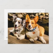 Cardigan en Pembroke Post Card Briefkaart (Voorkant / Achterkant)