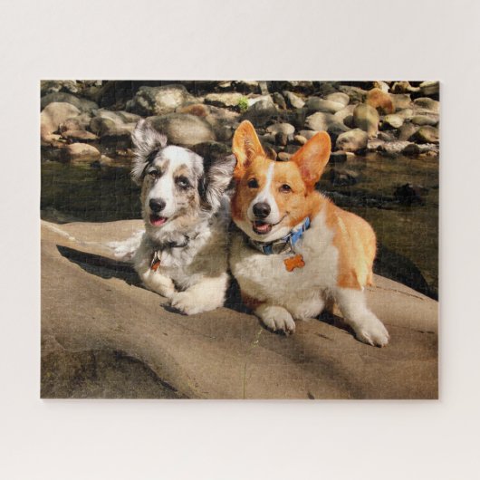 Cardigan en Pembroke Welsh Corgis Legpuzzel (Horizontaal)