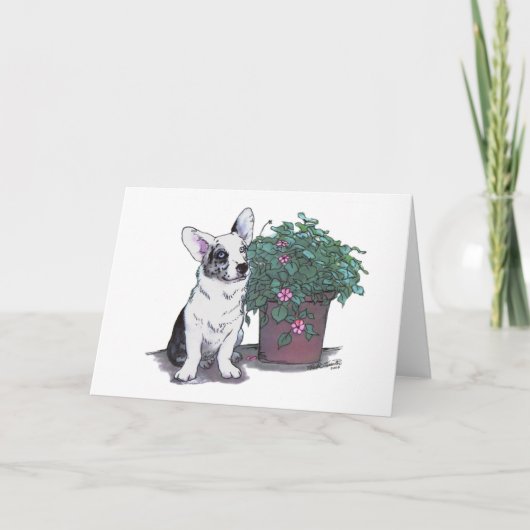 Cardigan Welse Corgi Notecard ~ Blauwe Merle Kaart (Voorkant)