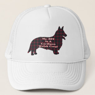 Cardigan Welsh Corgi BFF Pet