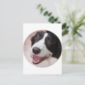 Cardigan Welsh corgi Briefkaart (Staand voorkant)