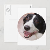 Cardigan Welsh corgi Briefkaart (Voorkant / Achterkant)