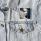 Cardigan Welsh Corgi Dog Button (In situ)