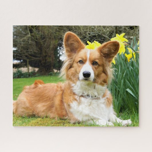 Cardigan Welsh Corgi Dog Legpuzzel (Horizontaal)