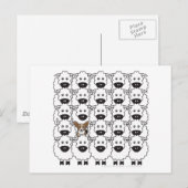 Cardigan Welsh Corgi in de Sheep Briefkaart (Voorkant / Achterkant)