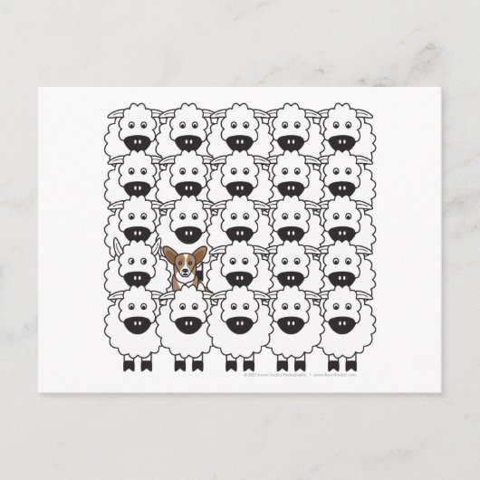 Cardigan Welsh Corgi in de Sheep Briefkaart (Voorkant)