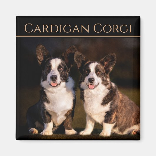 Cardigan Welsh Corgi Magneet (Voorkant)