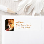 Cardigan Welsh Corgi Mailing Label (Insitu)