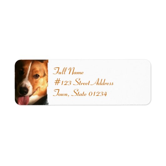 Cardigan Welsh Corgi Mailing Label (Voorkant)