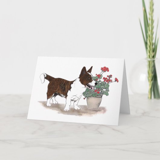 Cardigan Welsh Corgi Notecard ~ Brindle Kaart (Voorkant)