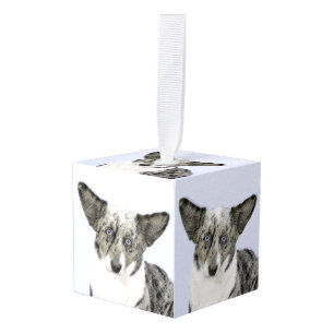 Cardigan Welsh Corgi Painting - Original Dog Art Decoratie