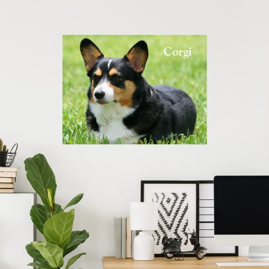 Cardigan Welsh Corgi Poster (Thuiskantoor)