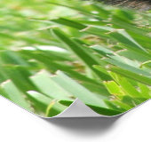 Cardigan Welsh Corgi Poster (Hoek)