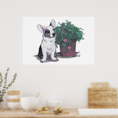 Cardigan Welsh Corgi Print ~ Blue Merle (Keuken)