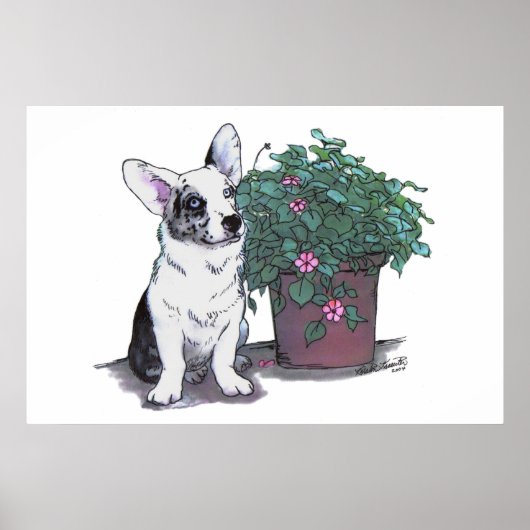 Cardigan Welsh Corgi Print ~ Blue Merle (Voorkant)