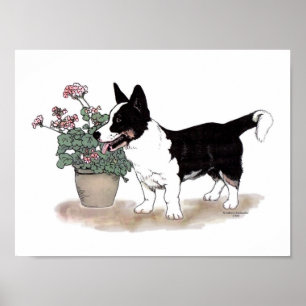 Cardigan Welsh Corgi Print ~ Tricolor