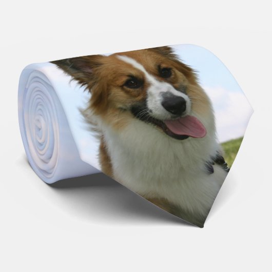 Cardigan Welsh Corgi Stropdas (Opgerold)